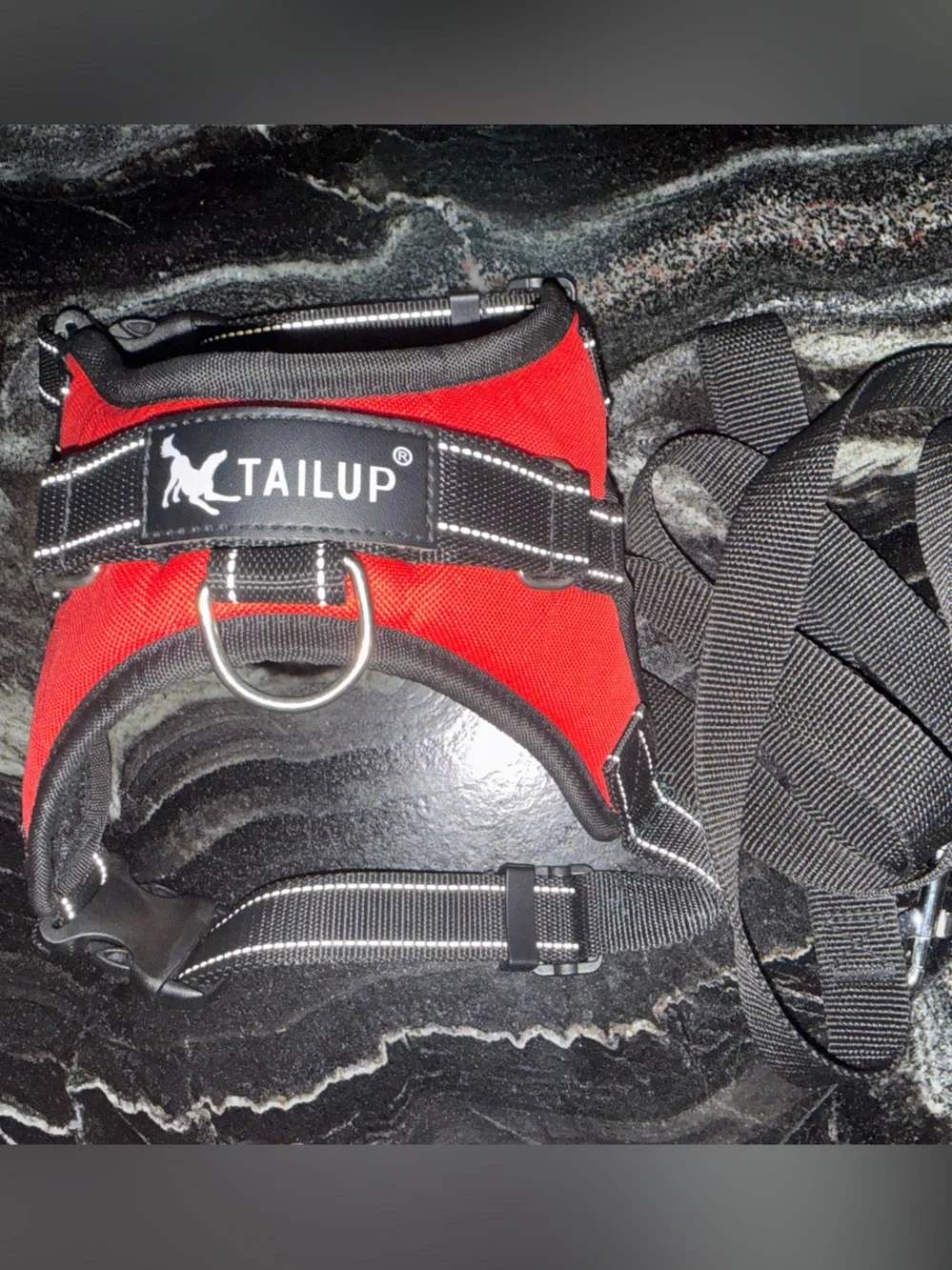 Tail Red Padded Dog Harness with Black Leash